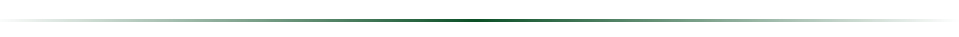 Divider Divider