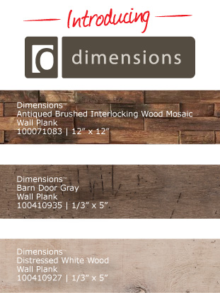Introducing Dimensions Introducing Dimensions