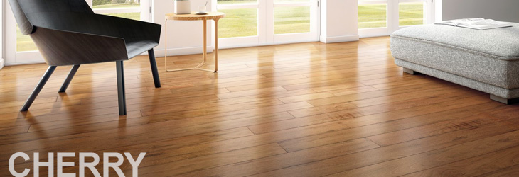 Floor And Decor Credit Card 28 Images Amazing Floor And Decor Credit Card Payment Gurus